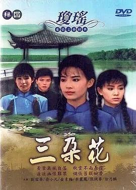 三朵花 第08集