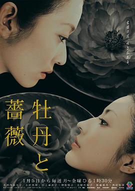 牡丹与玫瑰 第21集