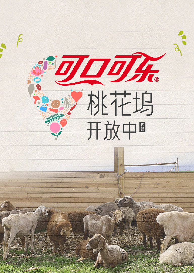 桃花坞开放中第4季 20251008下
