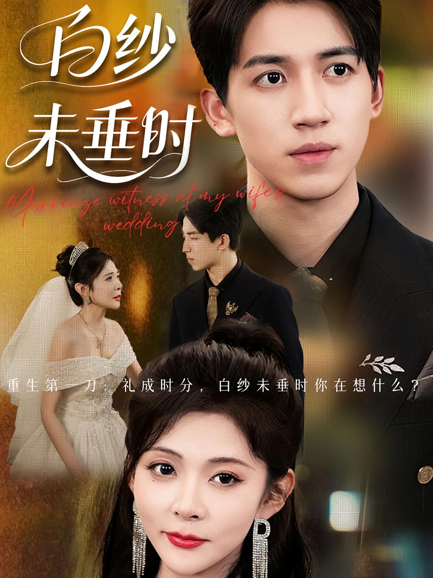 老婆婚礼我当证婚人，白纱未垂时 第36集