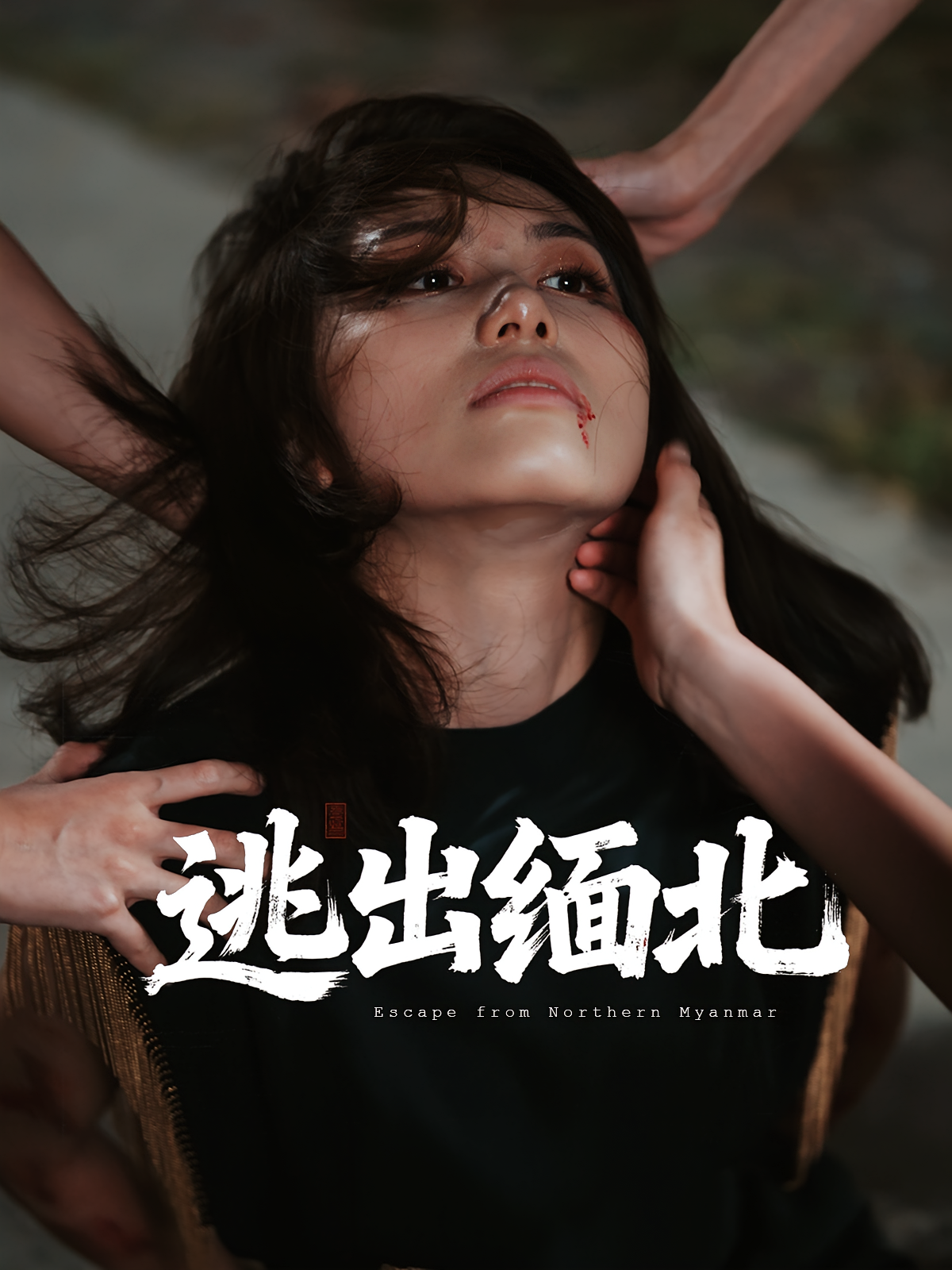 逃出缅北 第38集