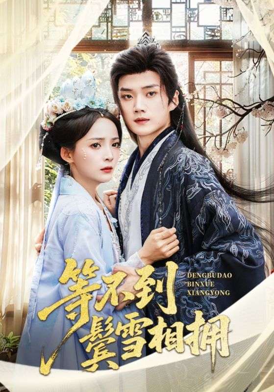 等不到鬓雪相拥 第01集
