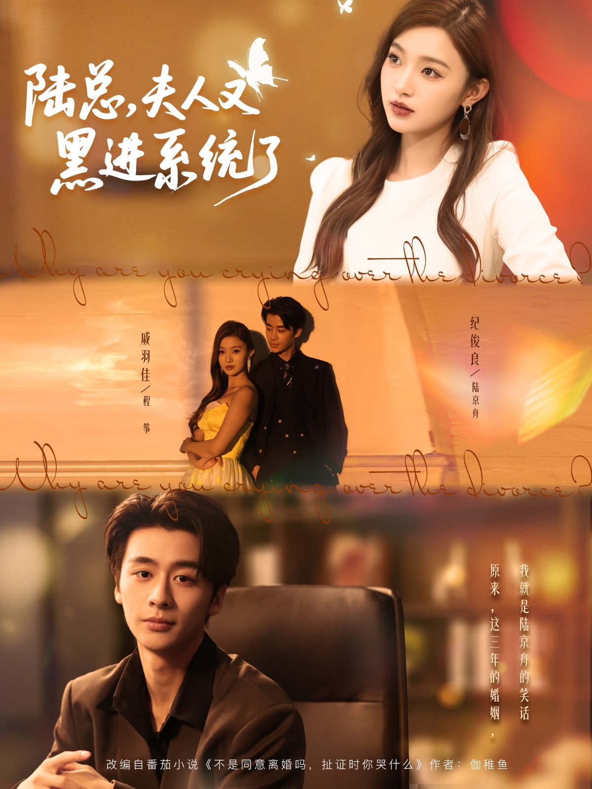 陆总夫人又黑进系统了 第51集