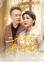 二十年后来闪婚 第49集