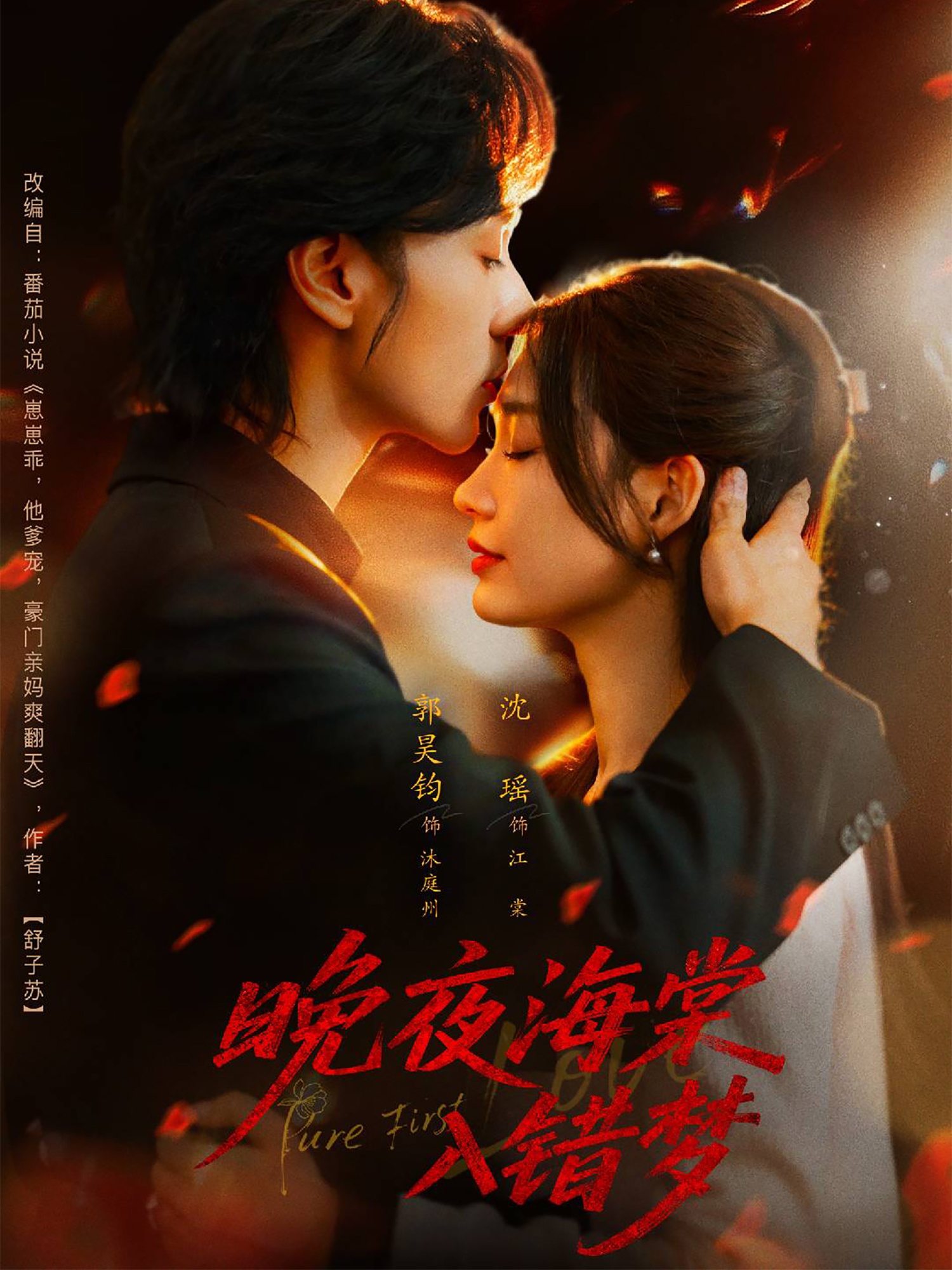 晚夜海棠入错梦 第01集