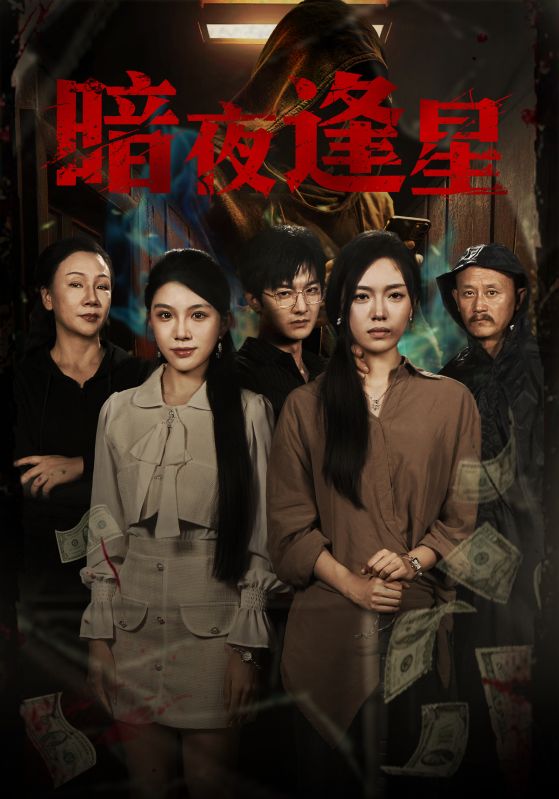 暗夜逢星 第44集