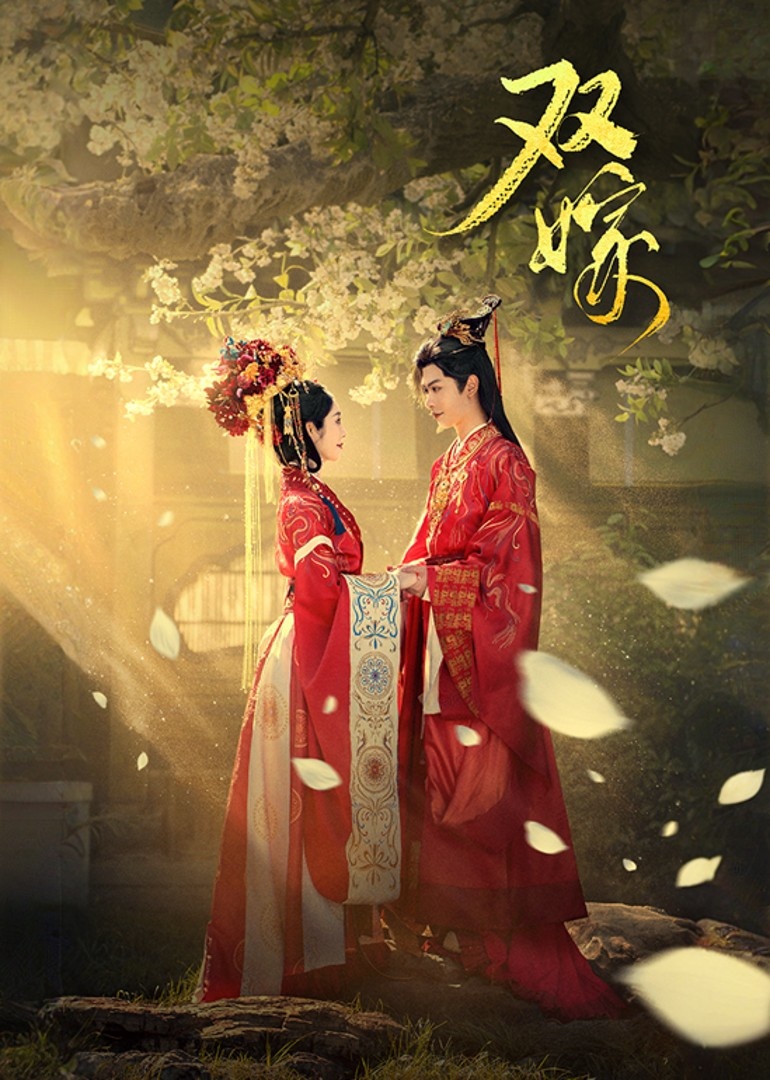 双嫁 第30集