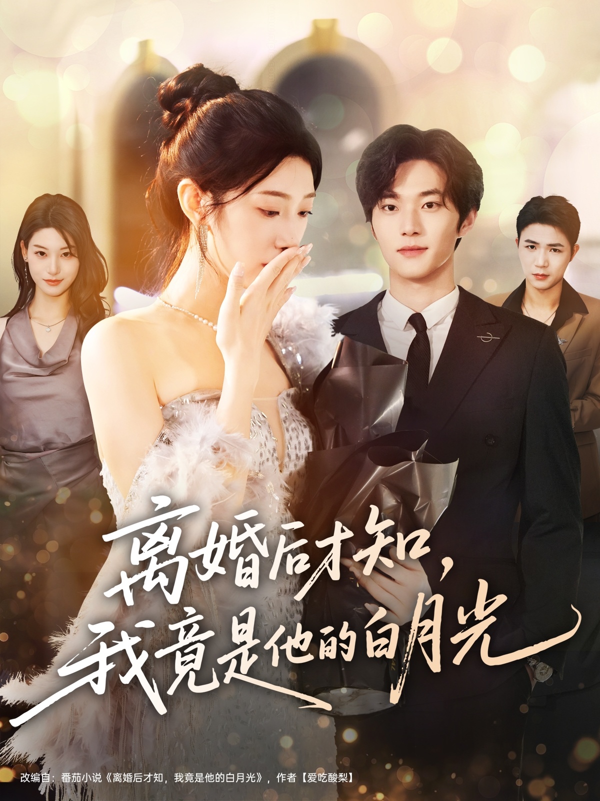 离婚后才知，我竟是他的白月光 第17集