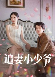 追妻小少爷 第29集