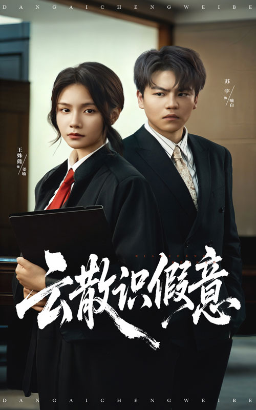 云散识假意 第01集