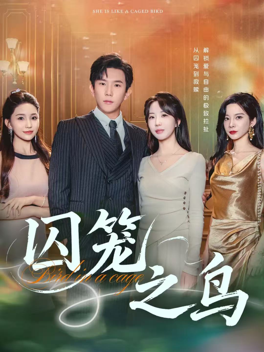 囚笼之鸟 第01集