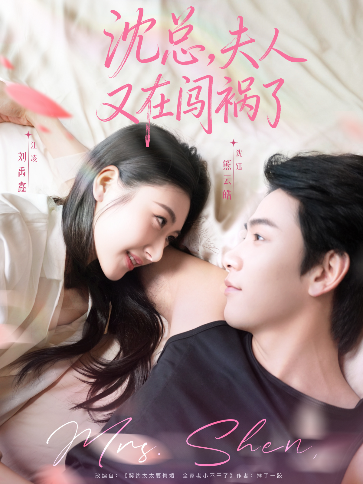 沈总，夫人又在闯祸了 第21集