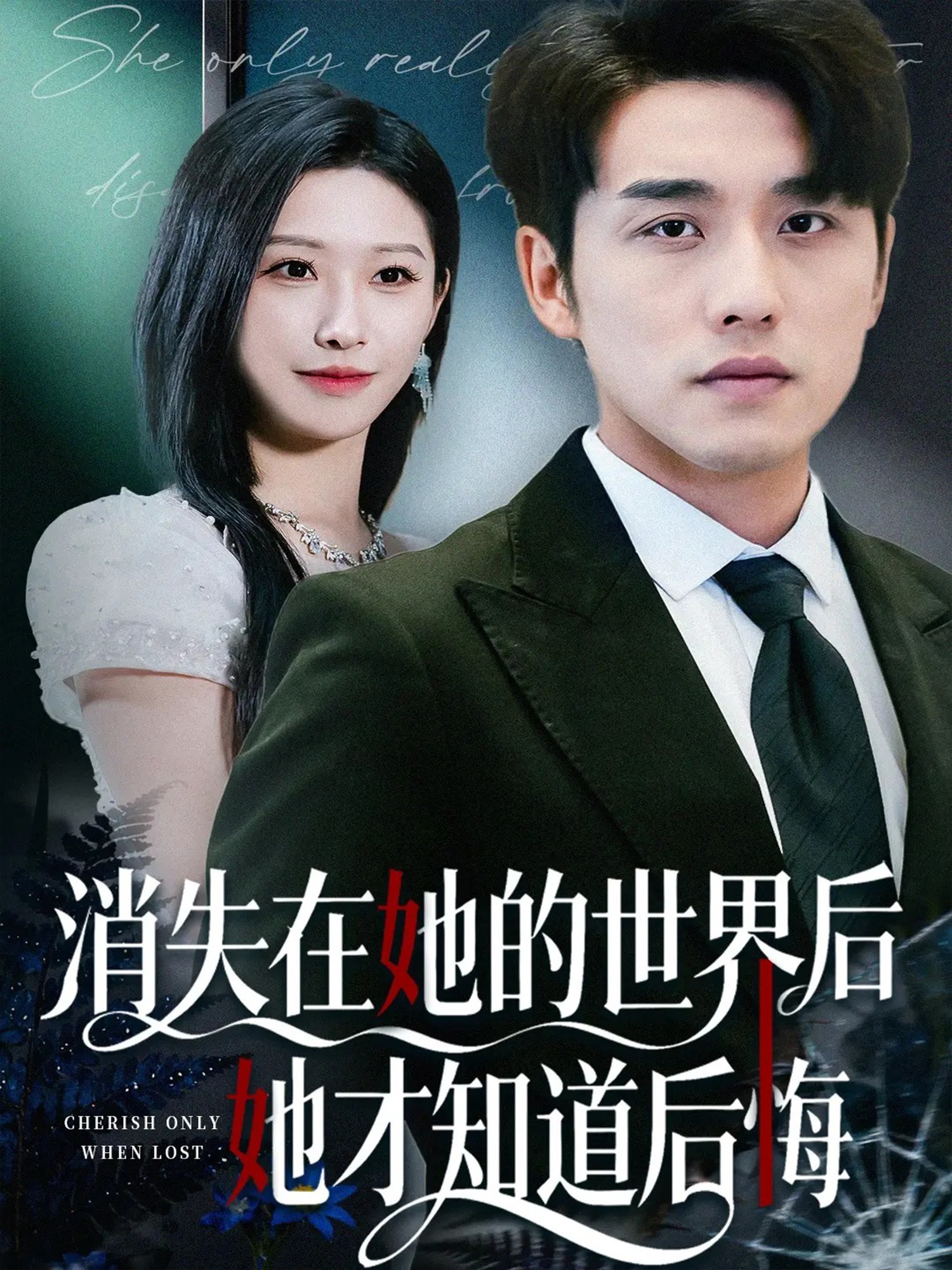消失在她的世界后她才知道后悔 第01集