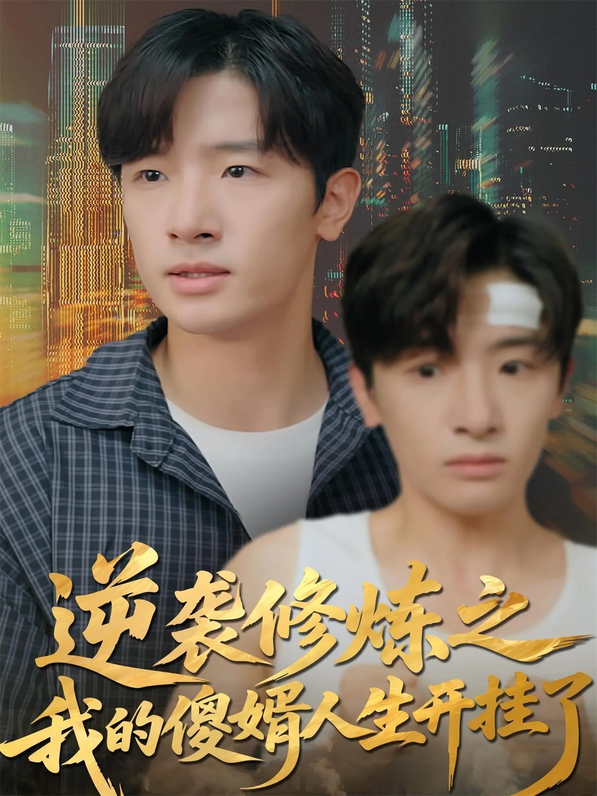 逆袭修炼之我的傻婿人生开挂了 第01集