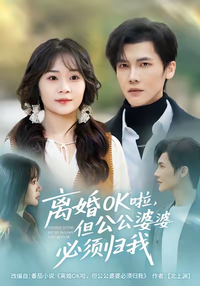 离婚OK啦，但公公婆婆必须归我 第27集