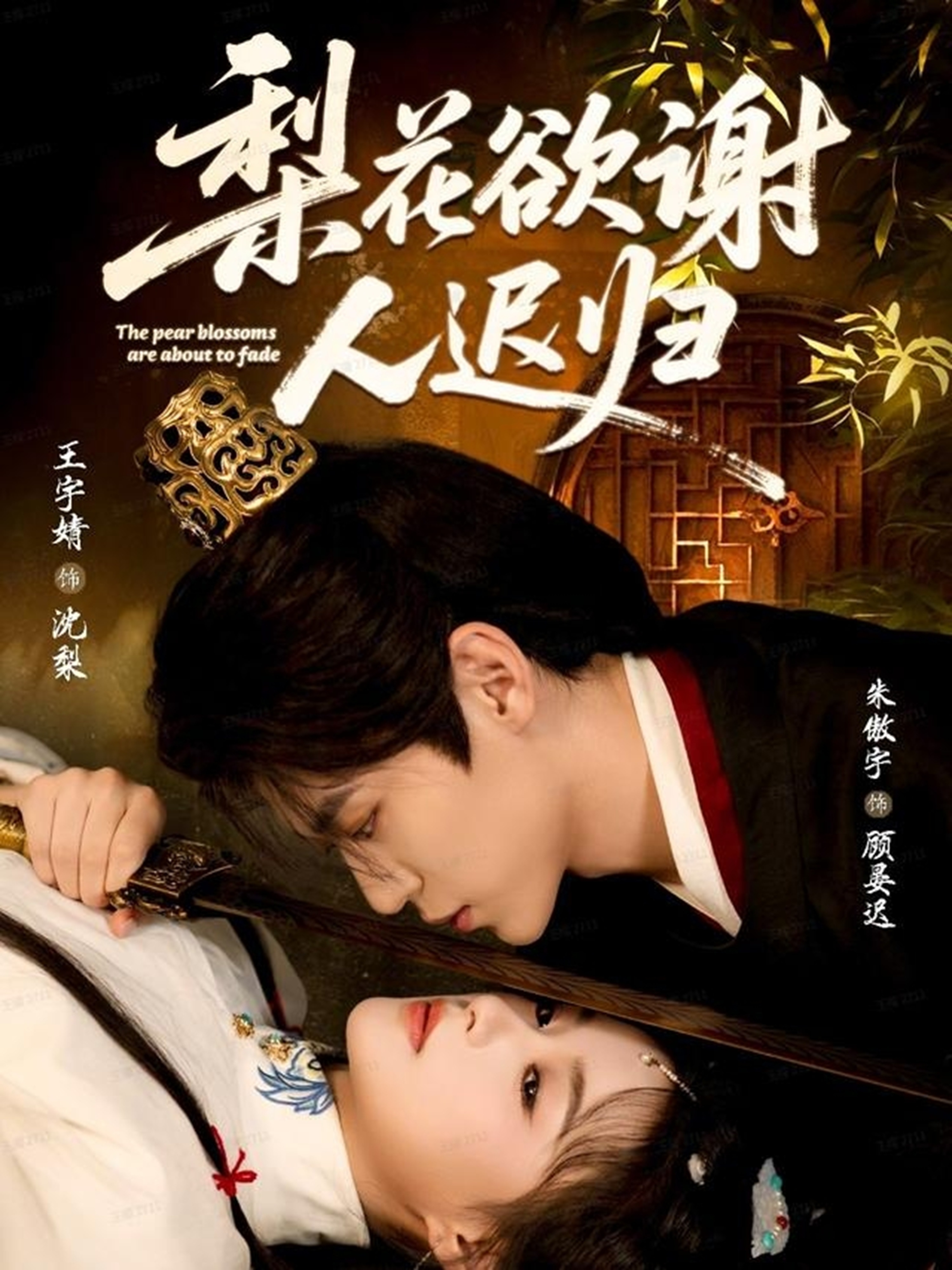 梨花欲谢人迟归 第01集