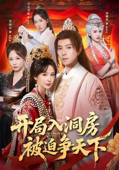 开局入洞房，被迫争天下 第33集