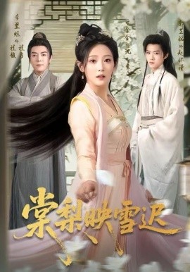 棠梨映雪迟 第17集