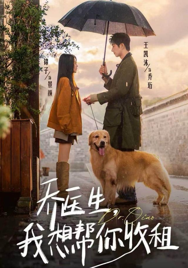 乔医生，我想帮你收租 第42集