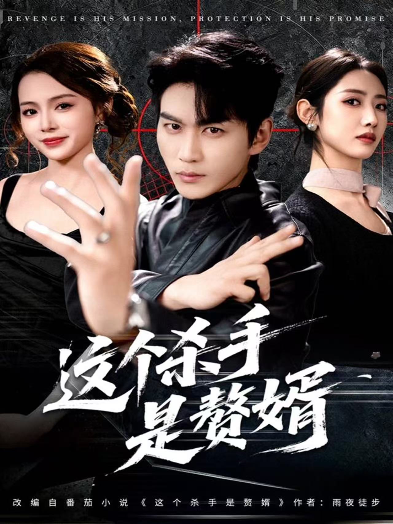 这个杀手是赘婿 第34集