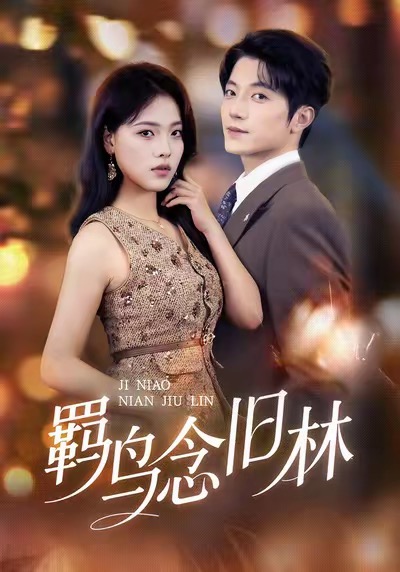 羁鸟念旧林 第01集