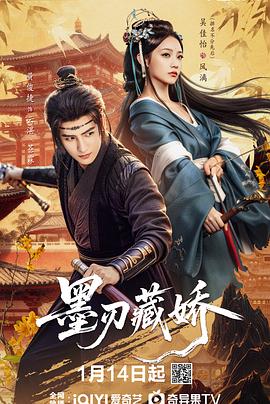 墨刃藏娇 第24集(大结局)