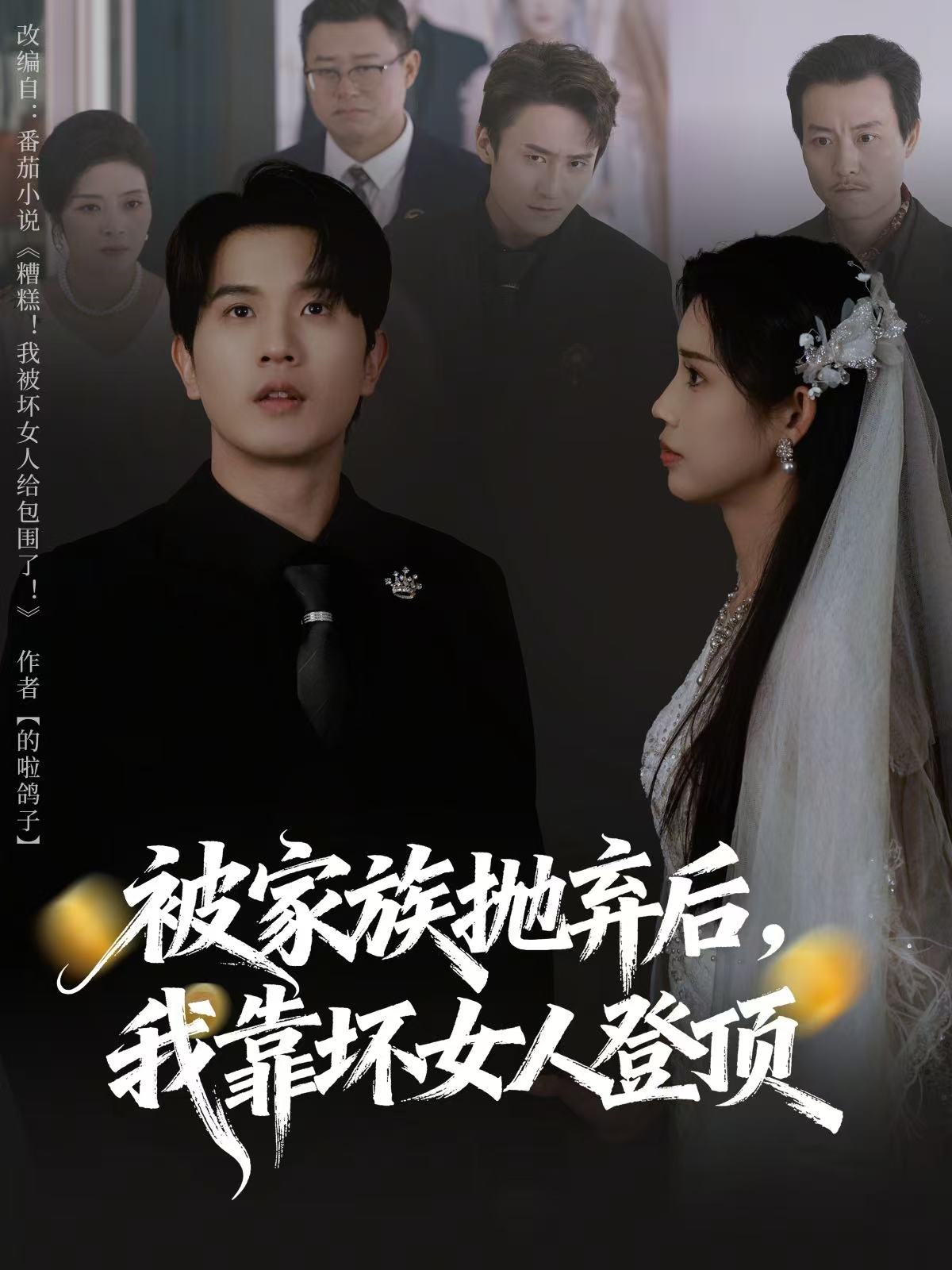 被家族抛弃后，我靠坏女人登顶 第12集