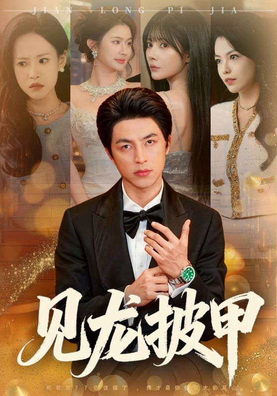 见龙披甲 第34集