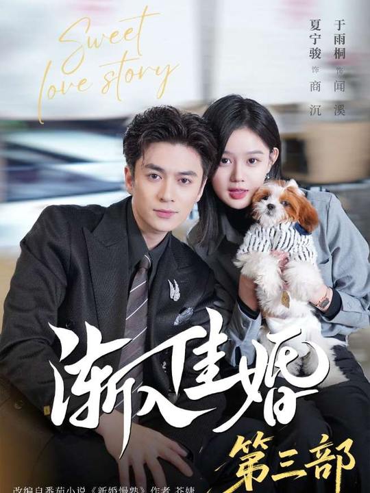 渐入佳婚3 第12集