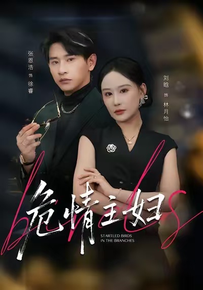 危情主妇 第01集