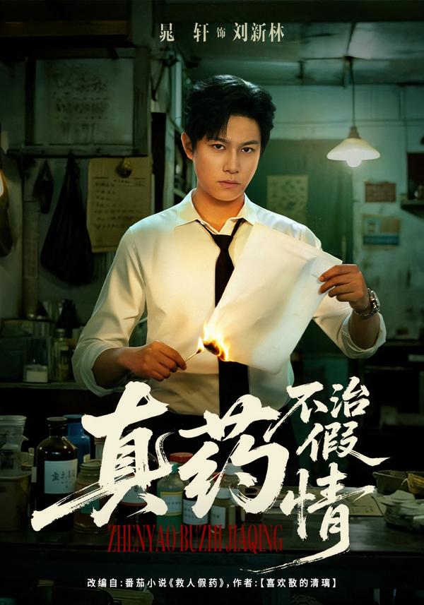 真药不治假情 第34集