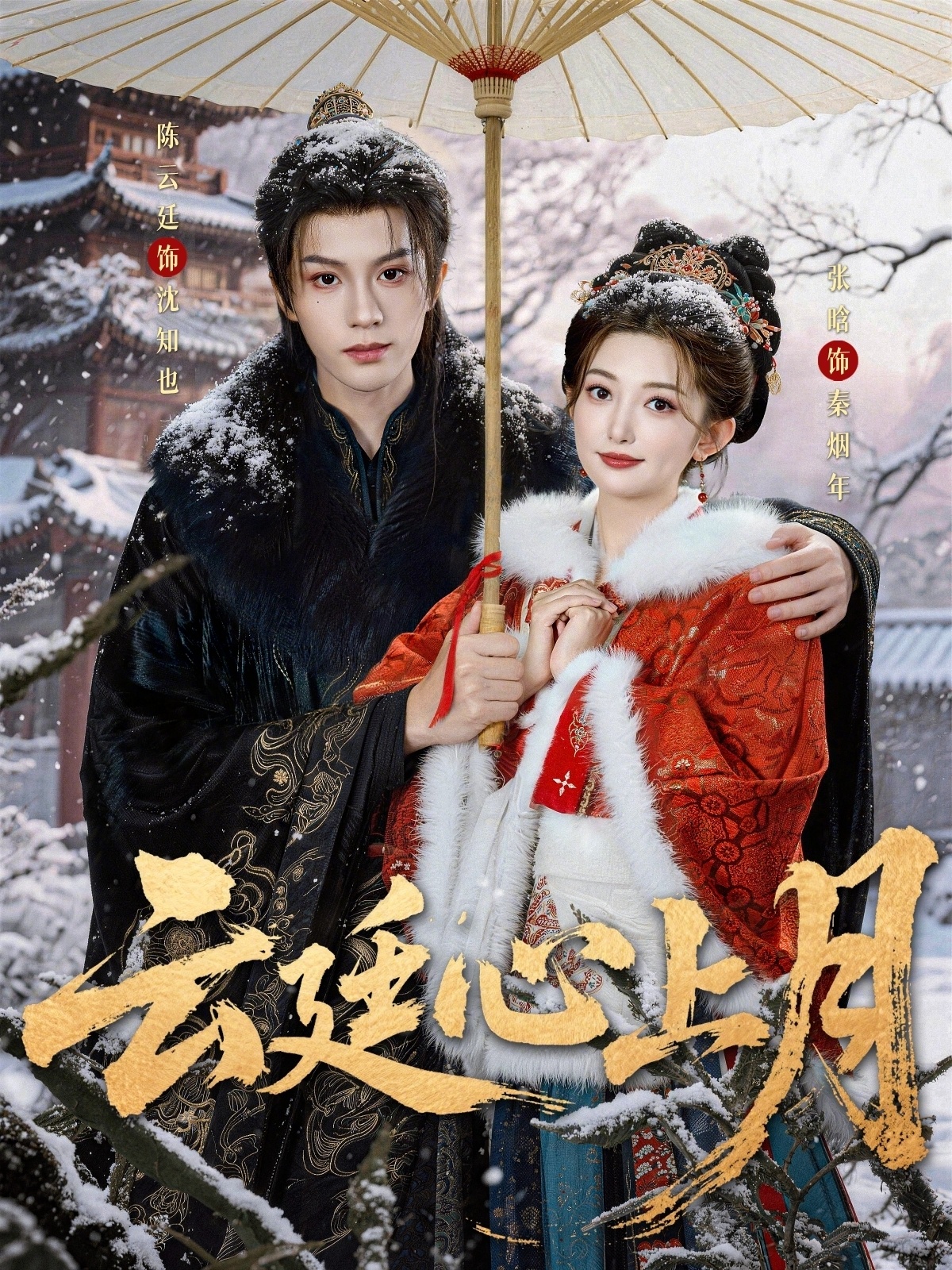 云廷心上月 第24集