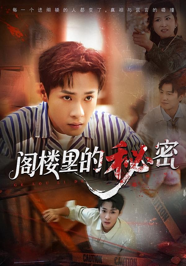 阁楼里的秘密 第12集