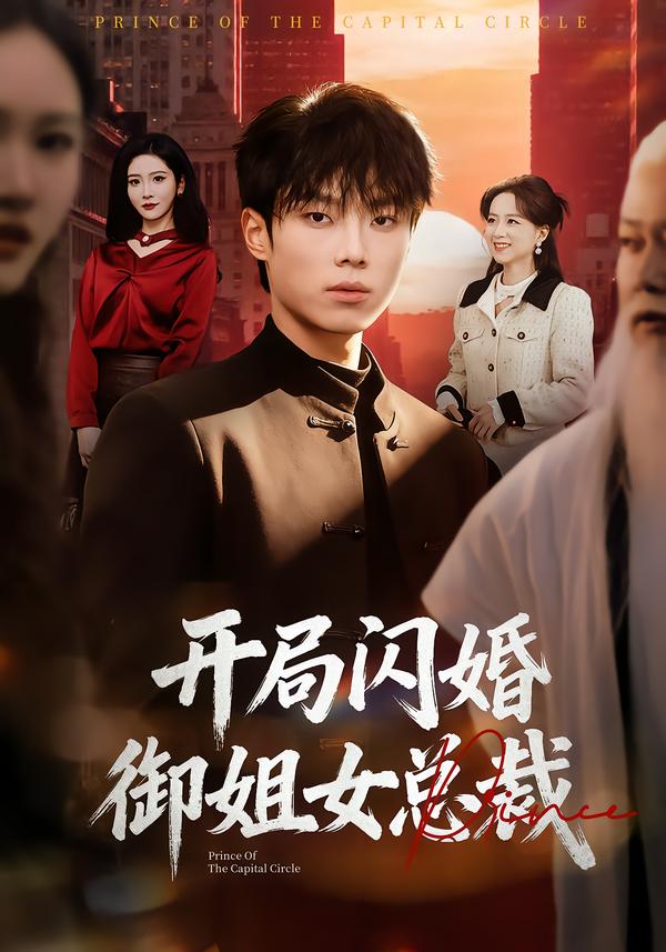 开局闪婚御姐女总裁 第56集