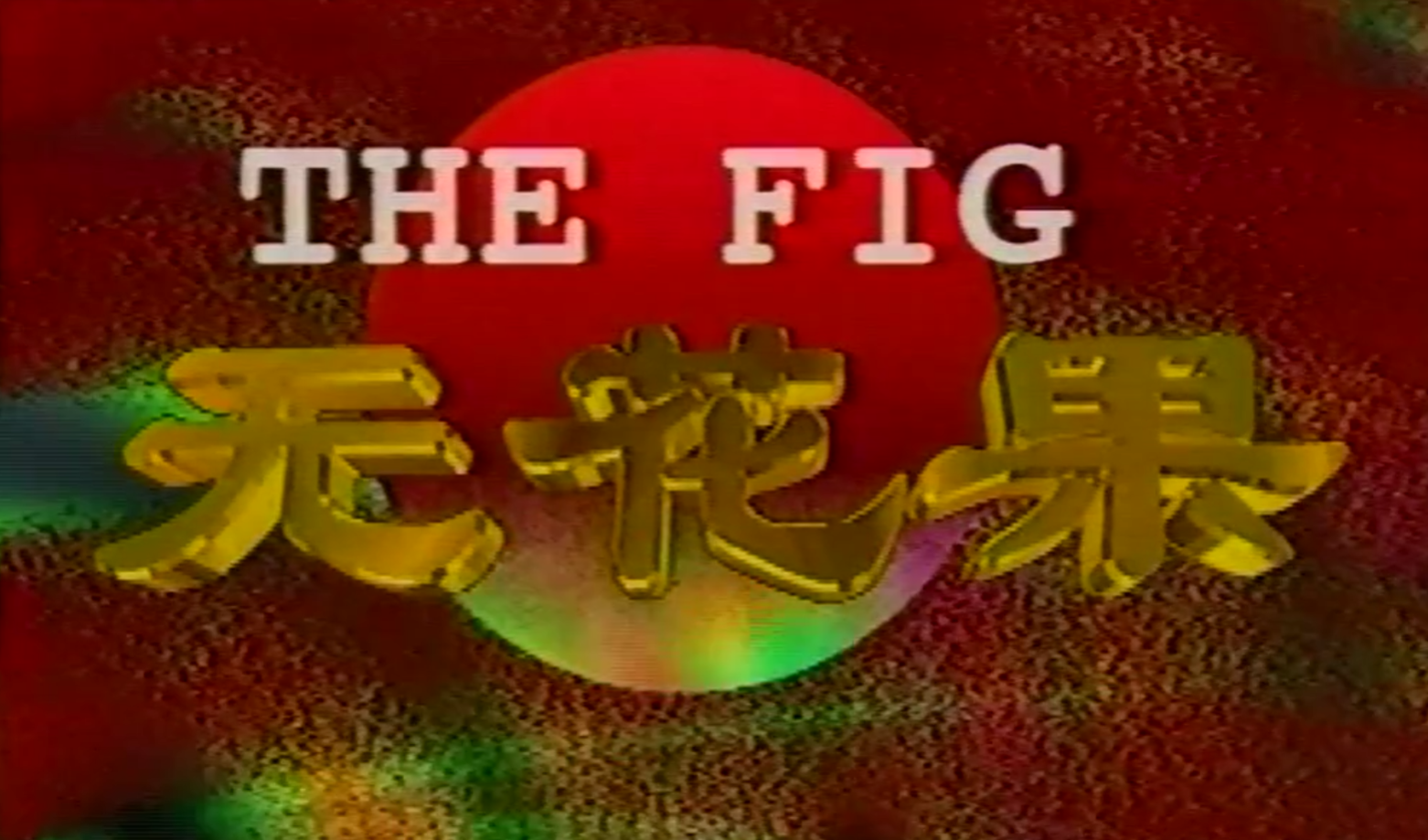 无花果1996 第17集