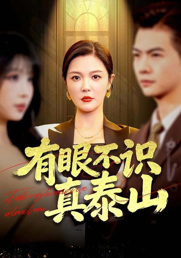 有眼不识真泰山 第01集