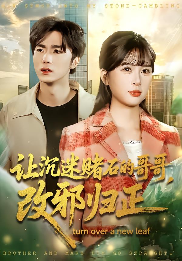 让沉迷赌石的哥哥，改邪归正 第01集