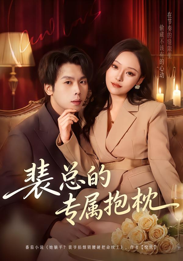 裴总的专属抱枕 第05集