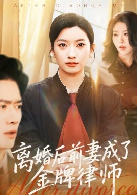 离婚后前妻成了金牌律师 第46集