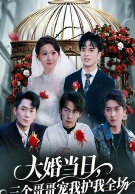 大婚当日，三个哥哥宠我护我全场 第36集