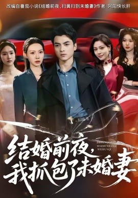 结婚前夜，我抓包了未婚妻 第73集