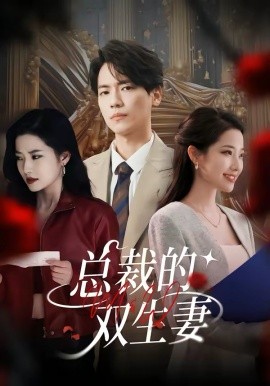 总裁的双生妻 第01集