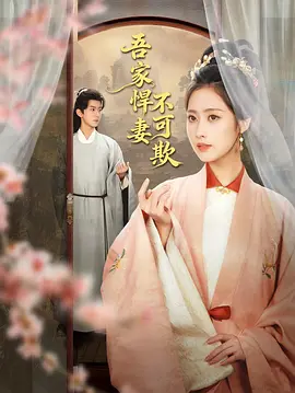 吾家悍妻不可欺 第03集