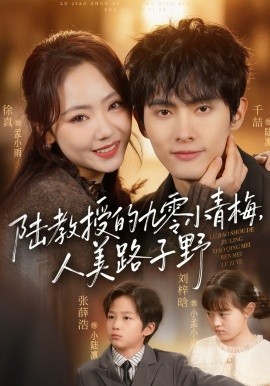 陆教授的九零小青梅，人美路子野 第72集