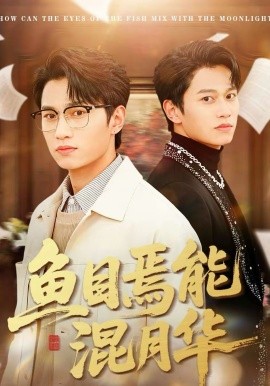 鱼目焉能混月华 第13集