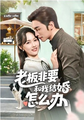 老板非要和我结婚怎么办 第46集