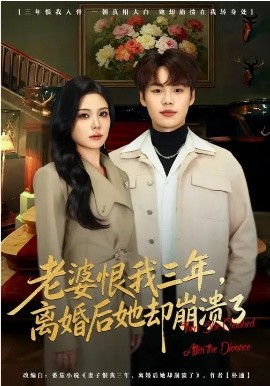 老婆恨我三年，离婚后她却崩溃了 第72集