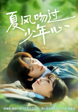 夏风吻过少年心 第24集