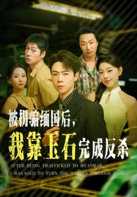 被拐骗缅国后，我靠玉石完成反杀 第13集