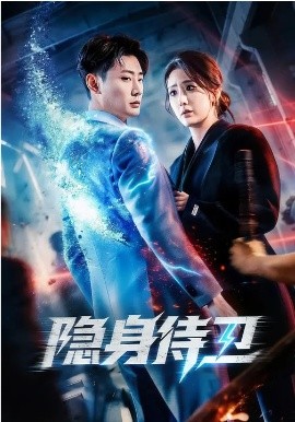 隐身侍卫 第73集